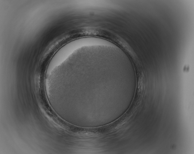 X0000116830722200912241226