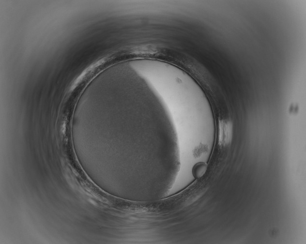 X0000116830723200912241226