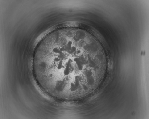 X0000116830725200912241226