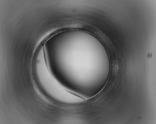 X0000116830726200912241226