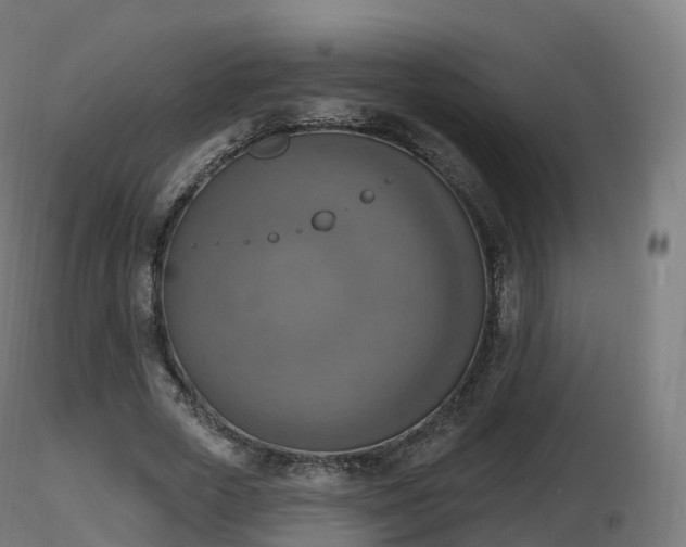 X0000116830729200912241226