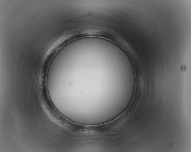 X0000116830730200912241226