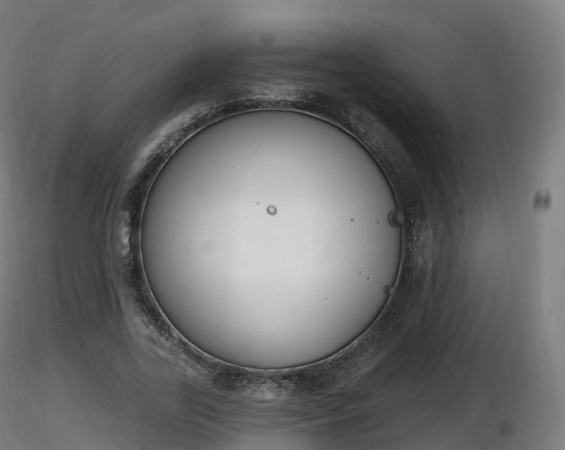 X0000116830731200912241226