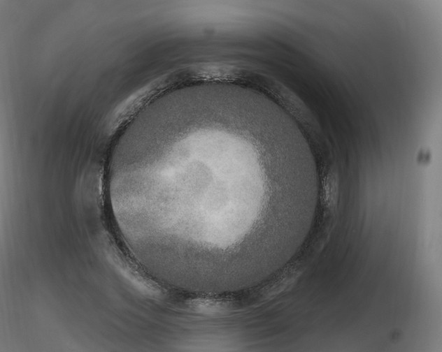 X0000116830733200912241226