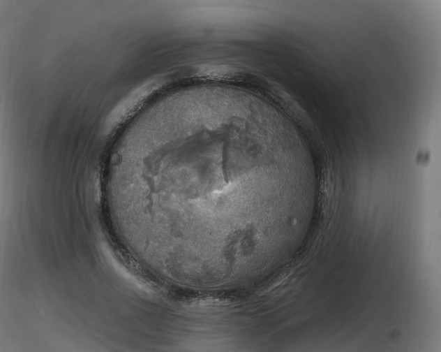 X0000116830734200912241226