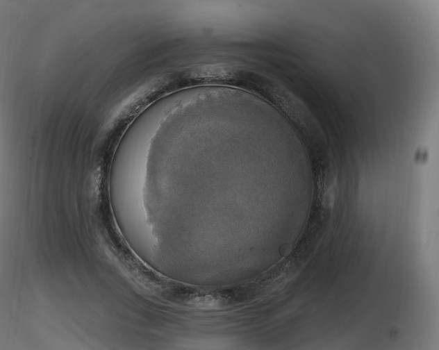 X0000116830735200912241226
