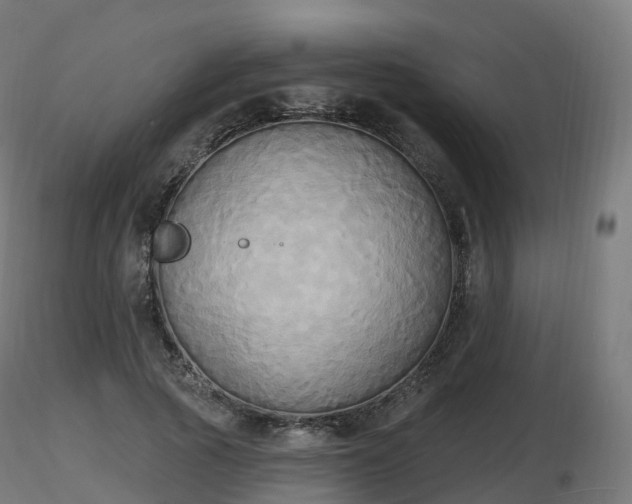 X0000116830737200912241226