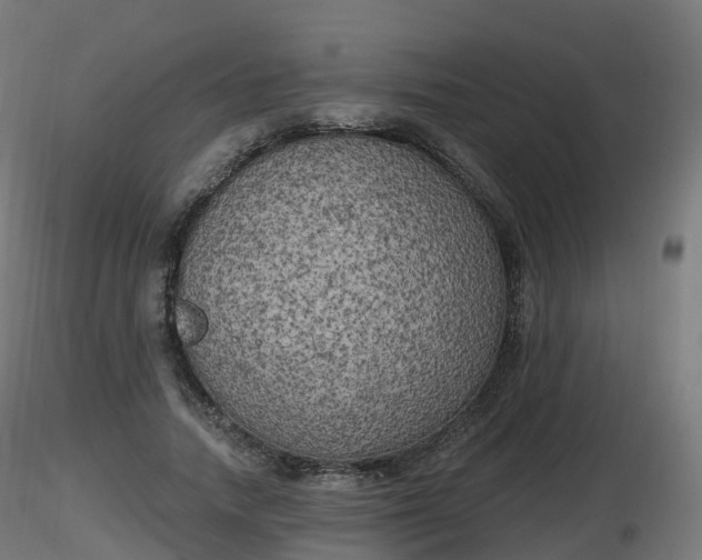 X0000116830738200912241226