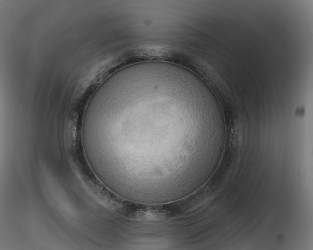 X0000116830739200912241226