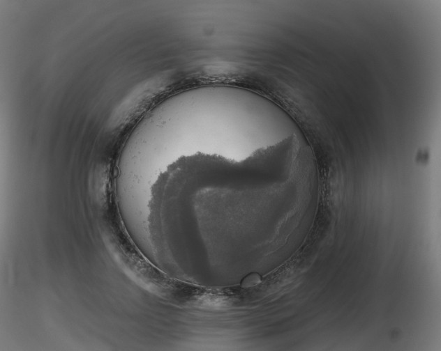 X0000116830742200912241226