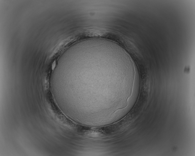 X0000116830743200912241226