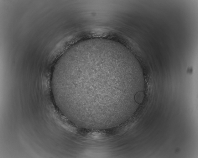 X0000116830745200912241226