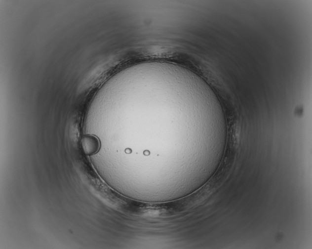 X0000116830746200912241226