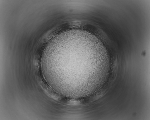 X0000116830749200912241226