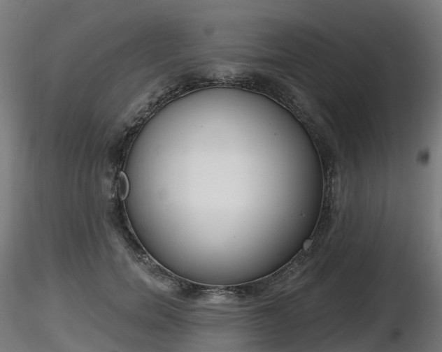 X0000116830750200912241226