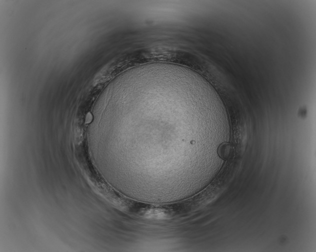 X0000116830751200912241226