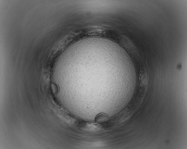 X0000116830753200912241226