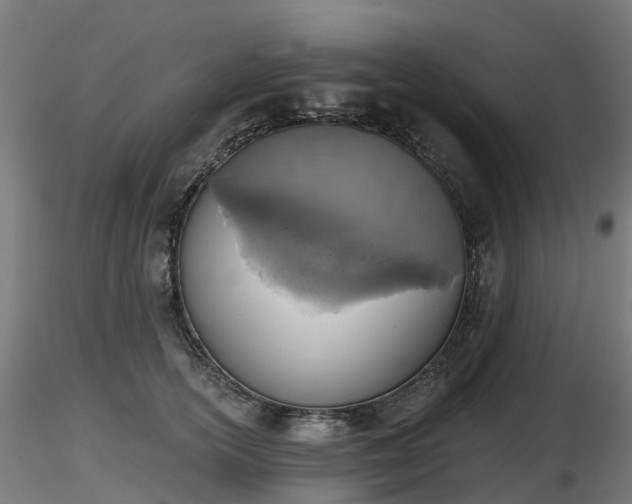 X0000116830754200912241226