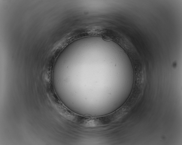 X0000116830755200912241226