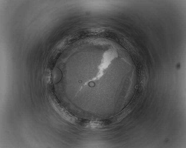 X0000116830758200912241226