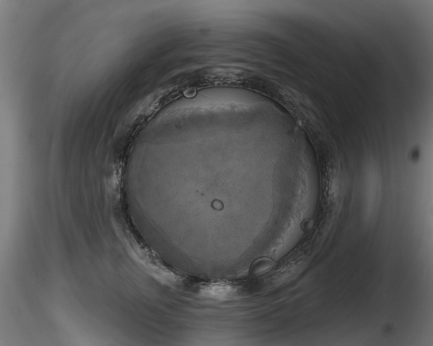X0000116830759200912241226