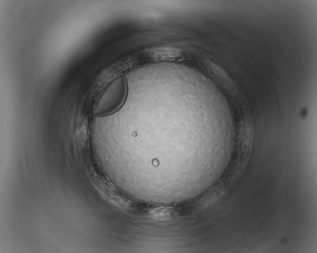 X0000116830761200912241226