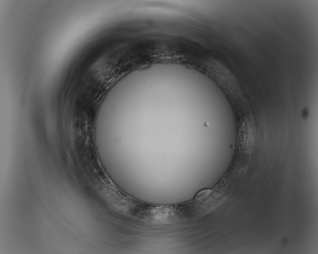 X0000116830762200912241226