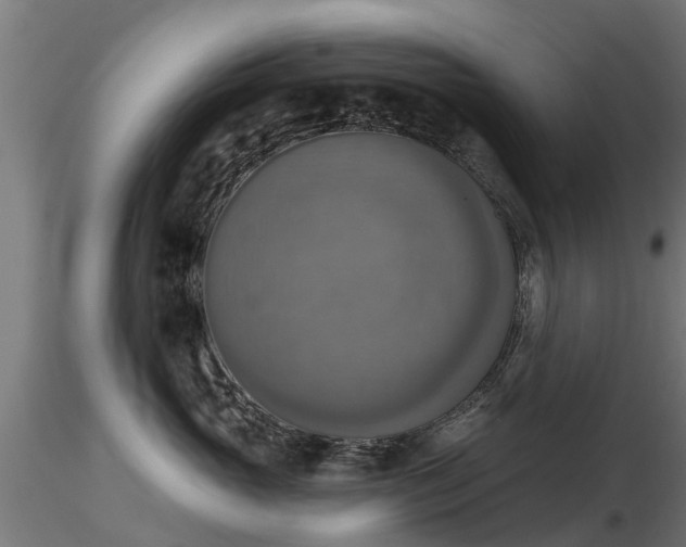 X0000116830765200912241226