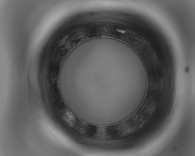X0000116830766200912241226