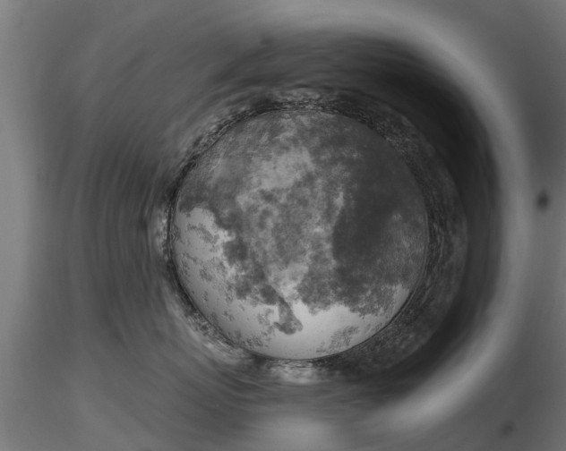 X0000116830767200912241226