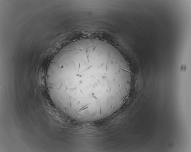 X0000116830770200912241226