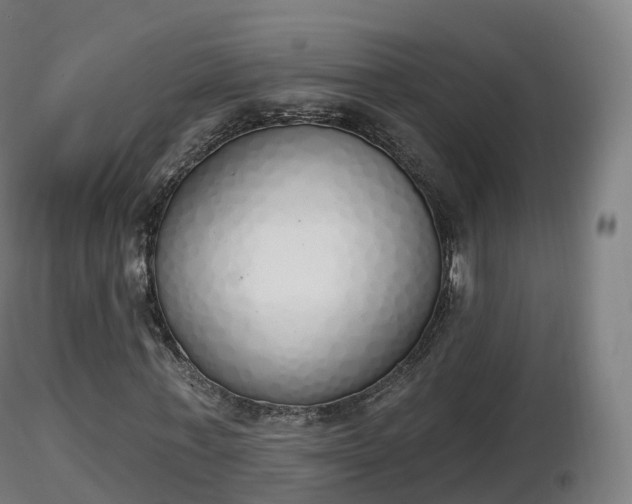 X0000116830771200912241226