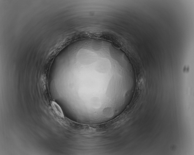 X0000116830772200912241226