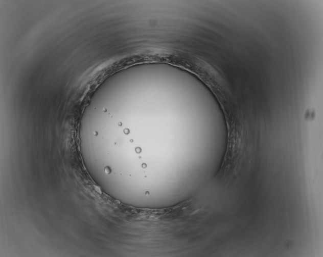 X0000116830773200912241226