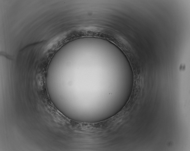 X0000116830774200912241226