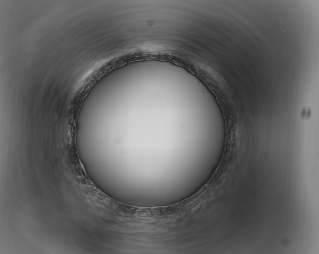 X0000116830776200912241226