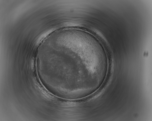 X0000116830777200912241226