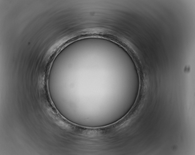 X0000116830778200912241226