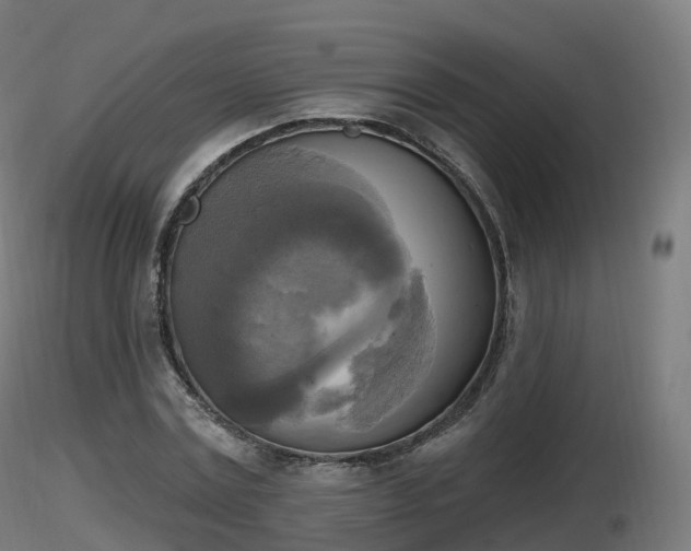 X0000116830779200912241226