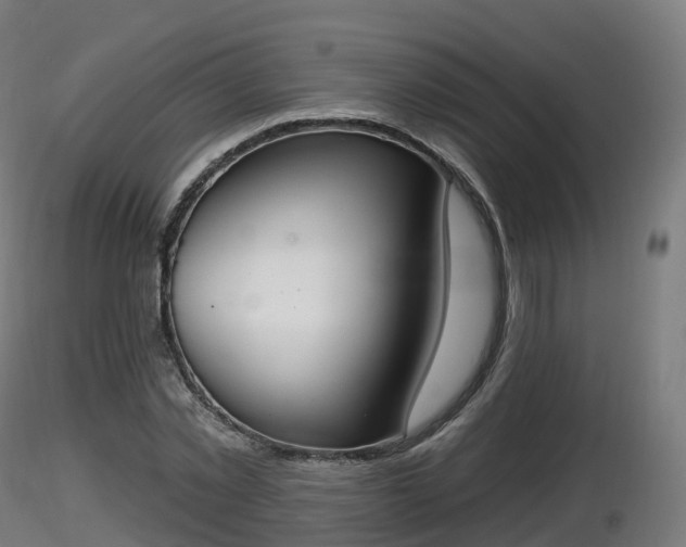 X0000116830781200912241226