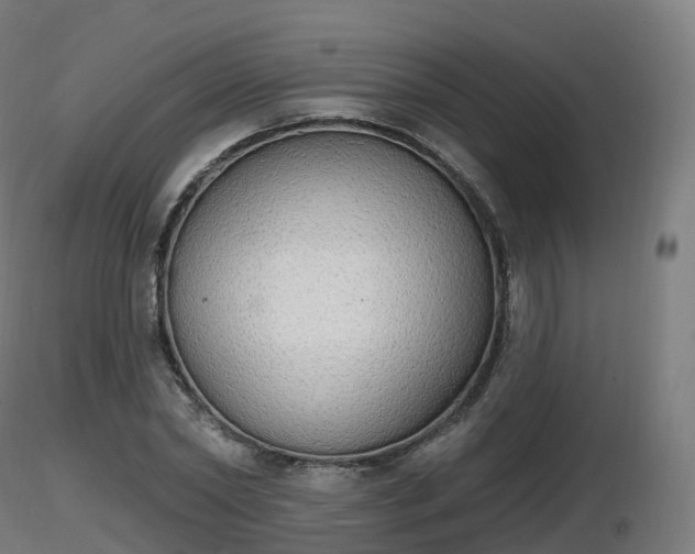 X0000116830782200912241226