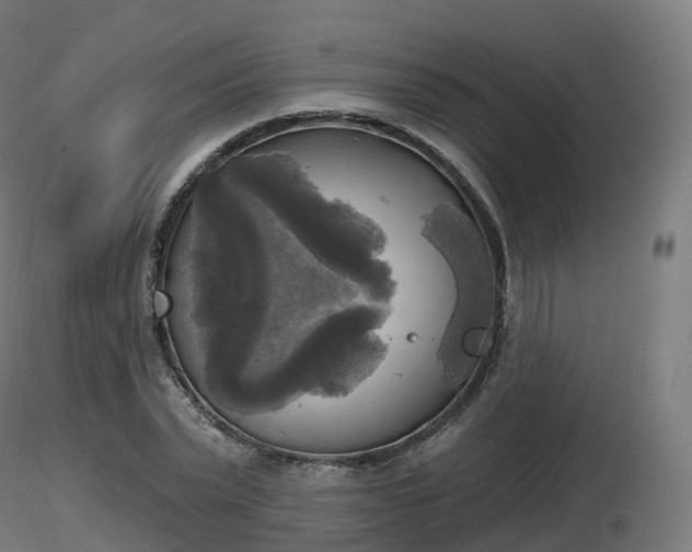 X0000116830783200912241226