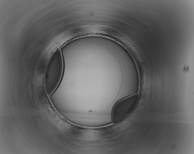 X0000116830785200912241226