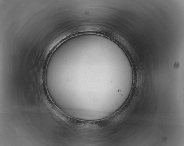 X0000116830786200912241226