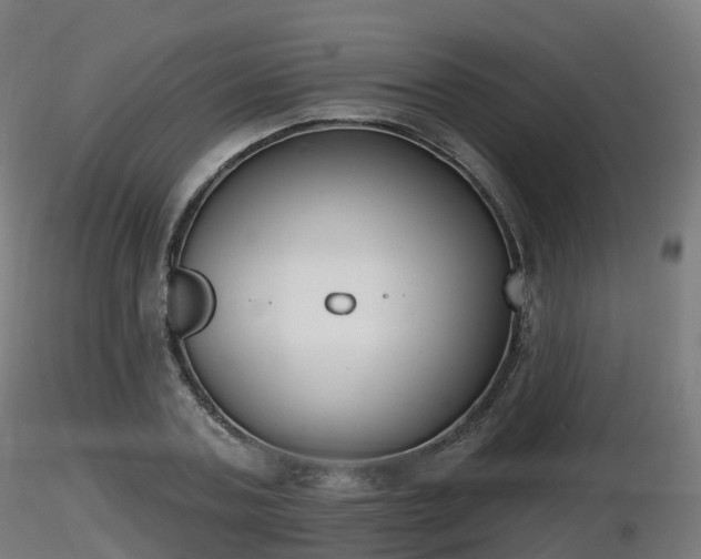 X0000116830787200912241226