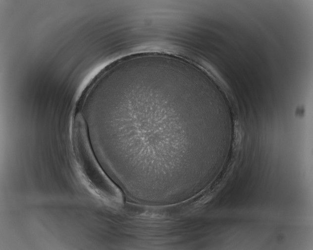 X0000116830788200912241226