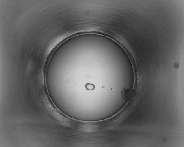 X0000116830789200912241226