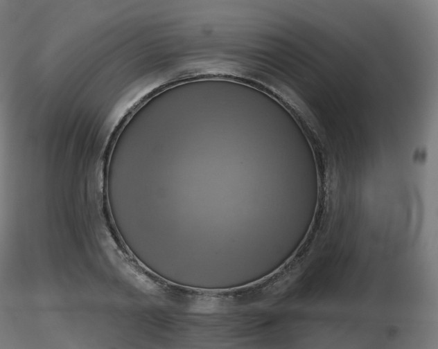 X0000116830790200912241226