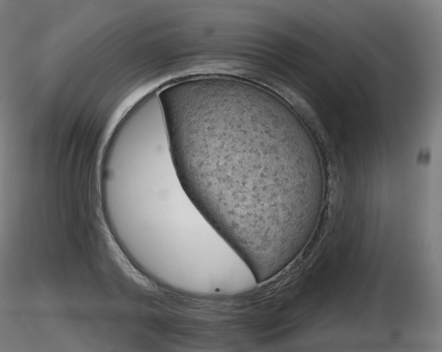 X0000116830792200912241225