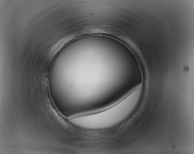 X0000116830793200912241225